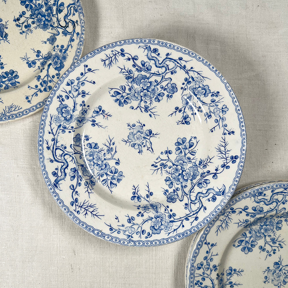 Set of Ten French Transferware Plates