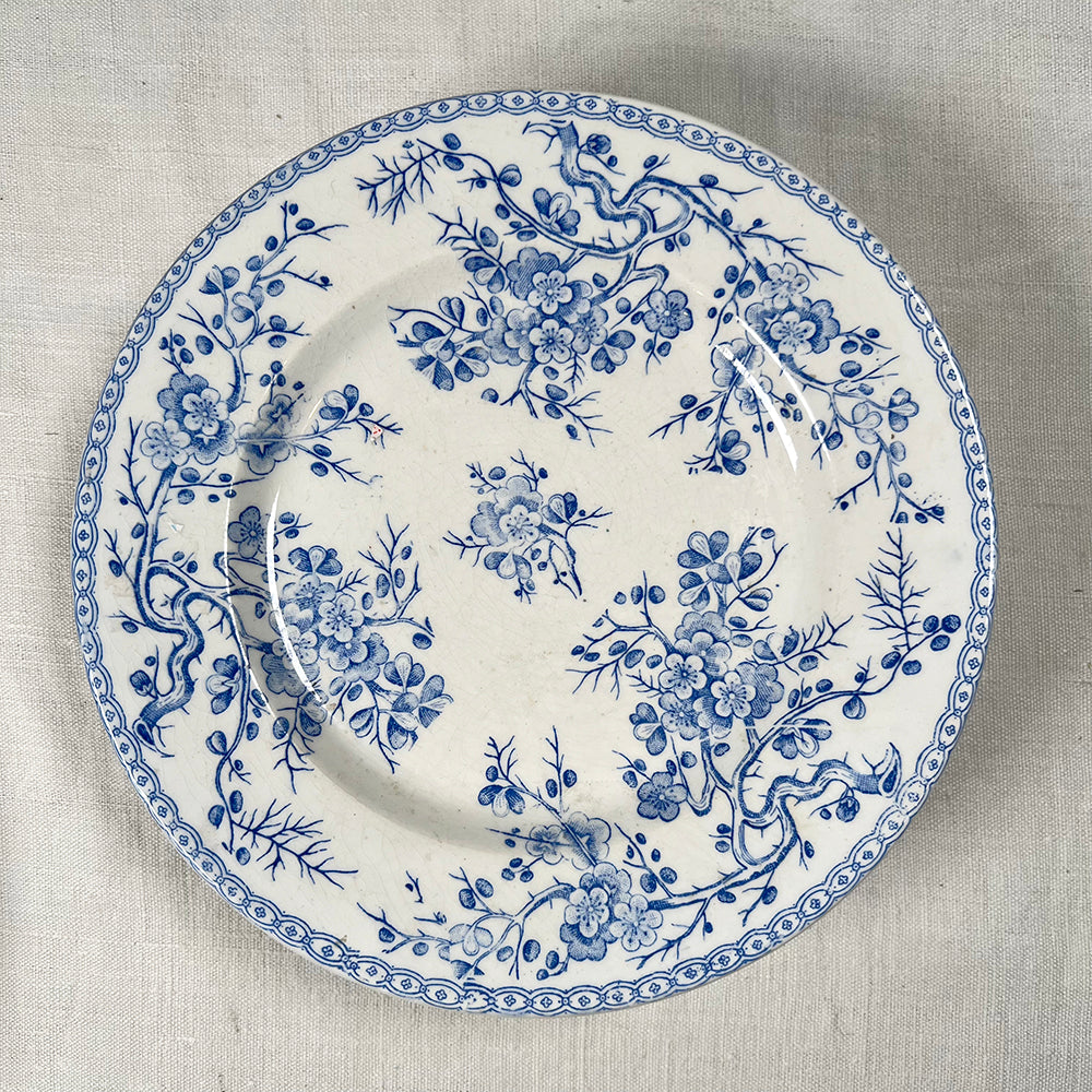 Set of Ten French Transferware Plates