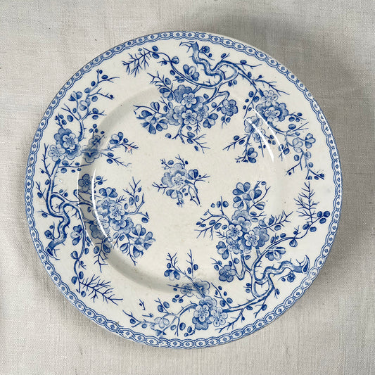 Set of Ten French Transferware Plates