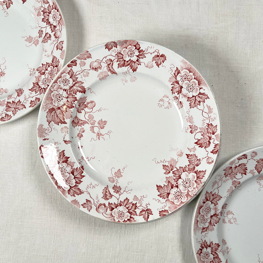 Set of Nine French Transferware Plates