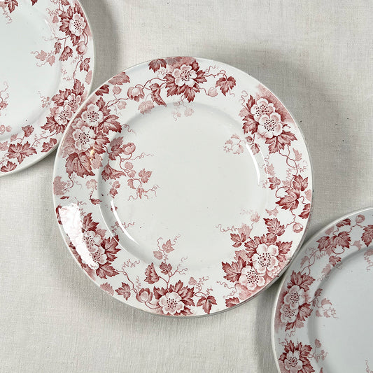 Set of Nine French Transferware Plates