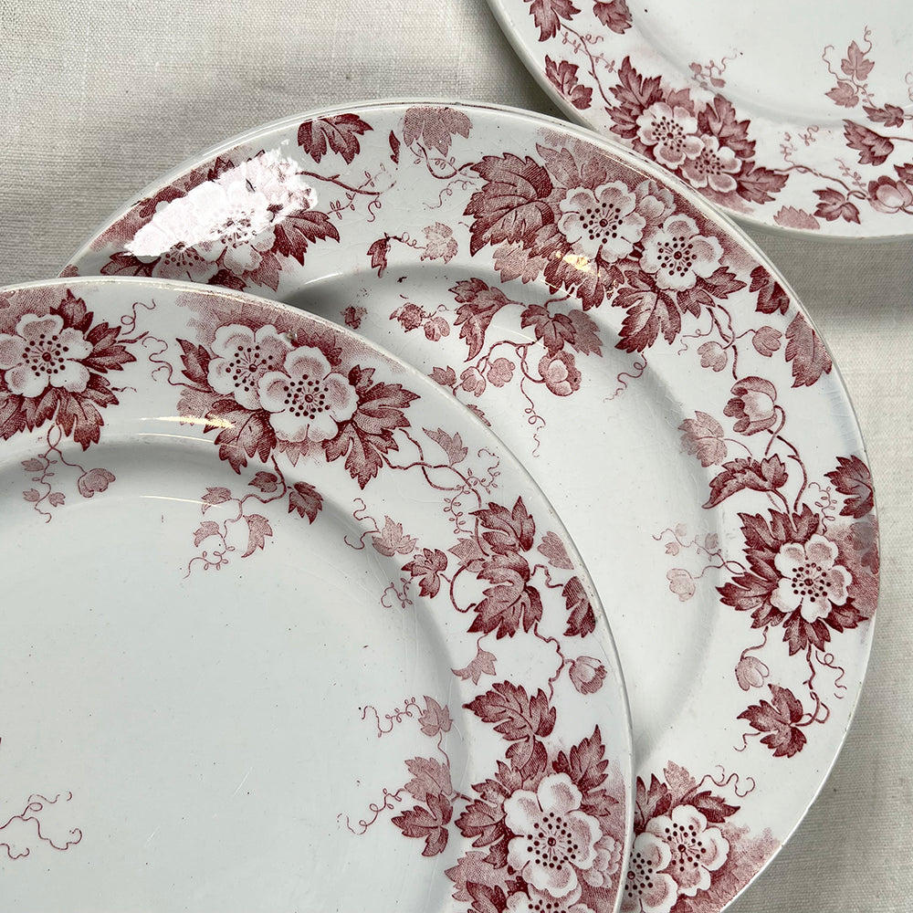 Set of Nine French Transferware Plates